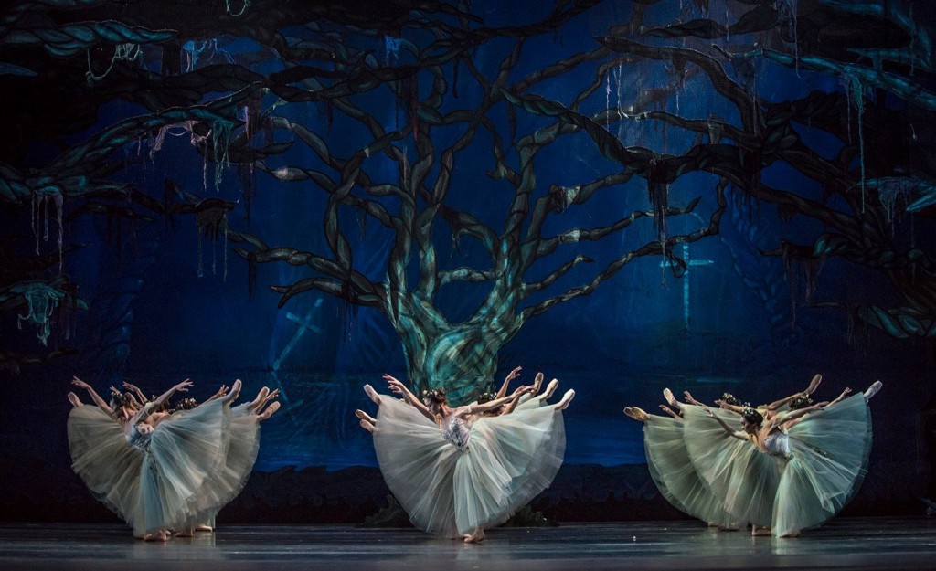 Lee más sobre el artículo Ballet de Santiago