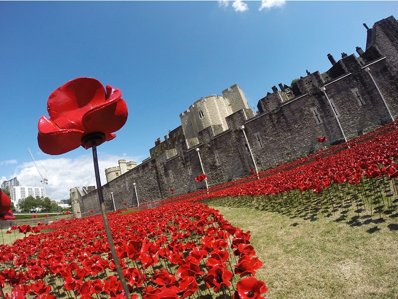 Millones de Amapolas  simbolizan la muerte de todos los soldados británicos en la Primera Guerra Mundial