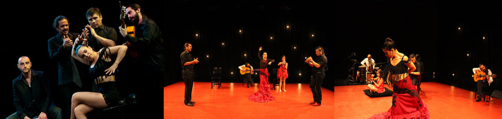 Lee más sobre el artículo Gala Flamenca en La Reina