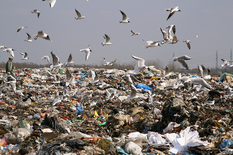 Lee más sobre el artículo A Suecia se le acabó la basura para reciclar y ahora la importa
