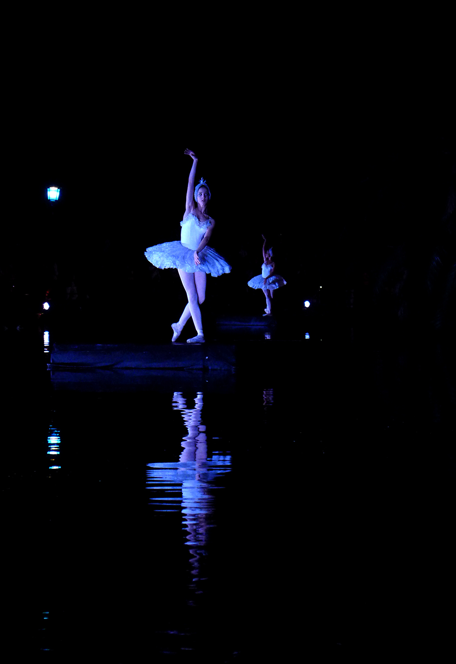 Lee más sobre el artículo Barcelona bailo con el Lago de los Cisnes y San Petersburgo
