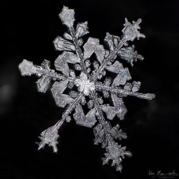 Fotografías de las misteriosas formas de los copos de nieve