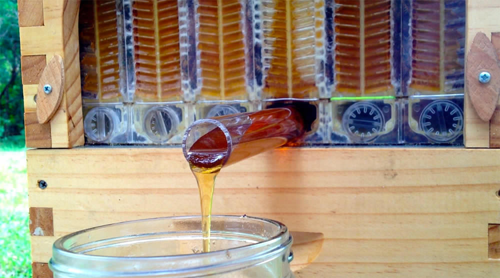 Flow Hive, increíble invento para extraer miel sin molestar a las abejas