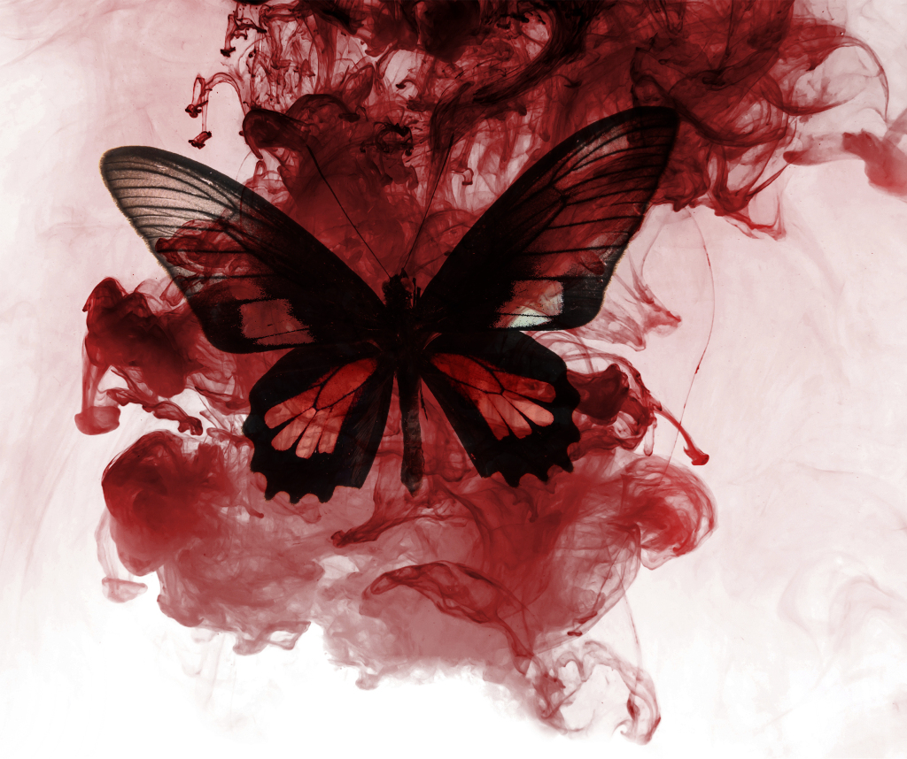 Lee más sobre el artículo Madama Butterfly: la trágica historia de amor que trasciende generaciones