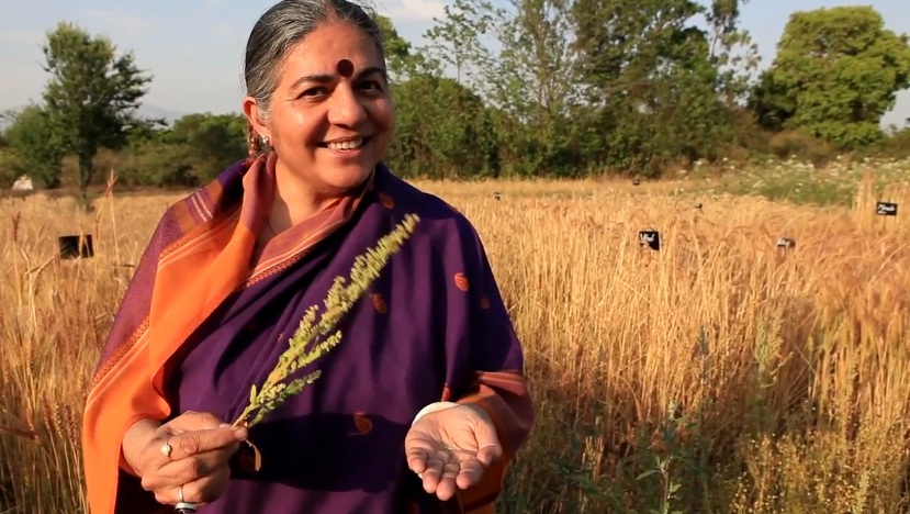 Vandana Shiva: «La revolución es inevitable y será ecológica; la gente quiere menos capital y más bienestar»