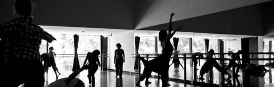 Lee más sobre el artículo Programa de entrenamiento de Danza 2015