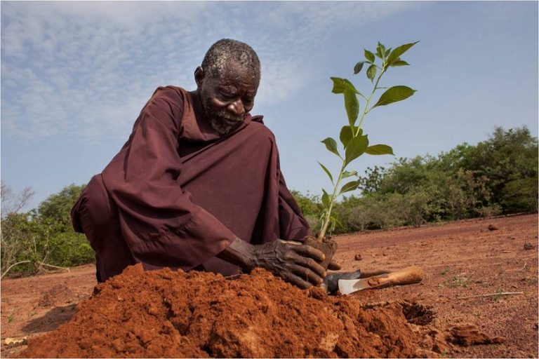 La increíble historia de Yacouba Sawadogo, el hombre que frenó el desierto
