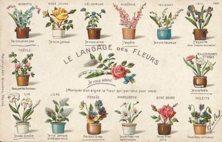 “Floriografía” El Lenguaje de las Flores