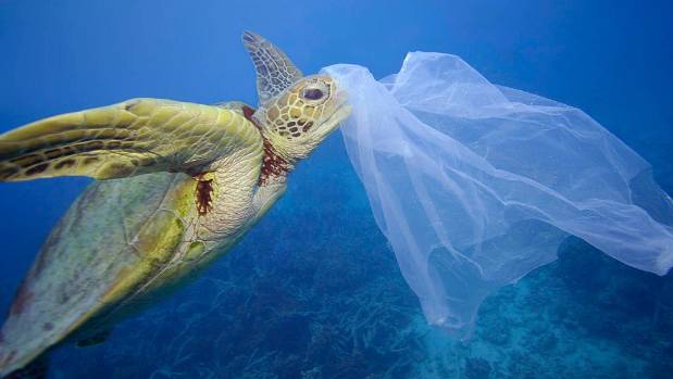 Chile es el primer país de América en prohibir las bolsas plásticas en la costas