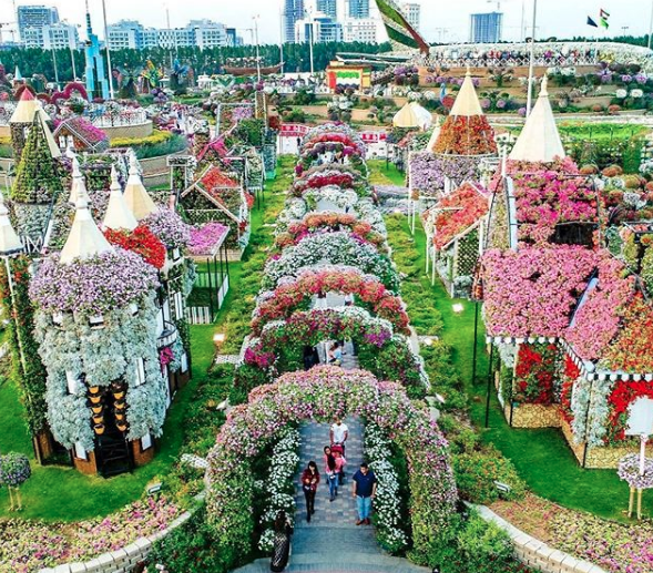 “Miracle Garden” El Jardín de flores más grande del mundo”