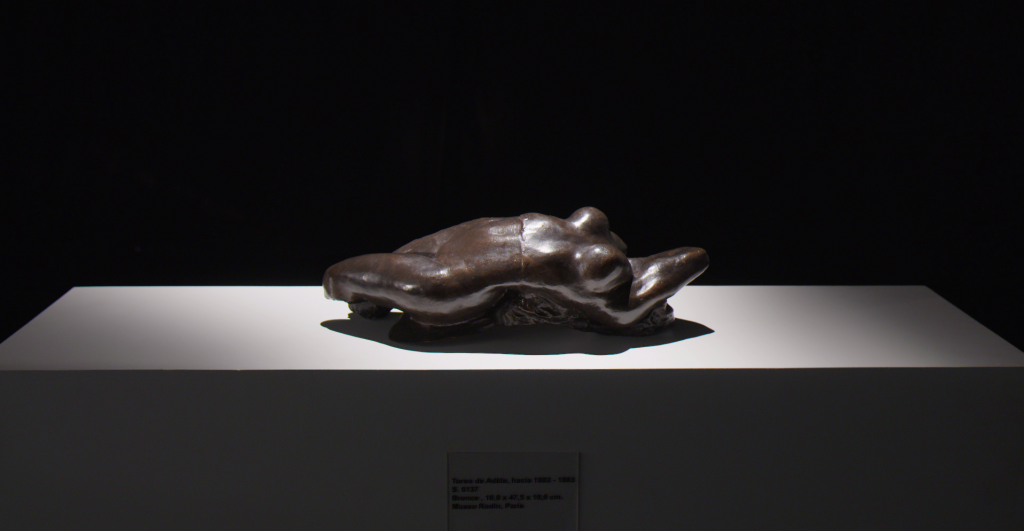 Lee más sobre el artículo Robar a Rodin