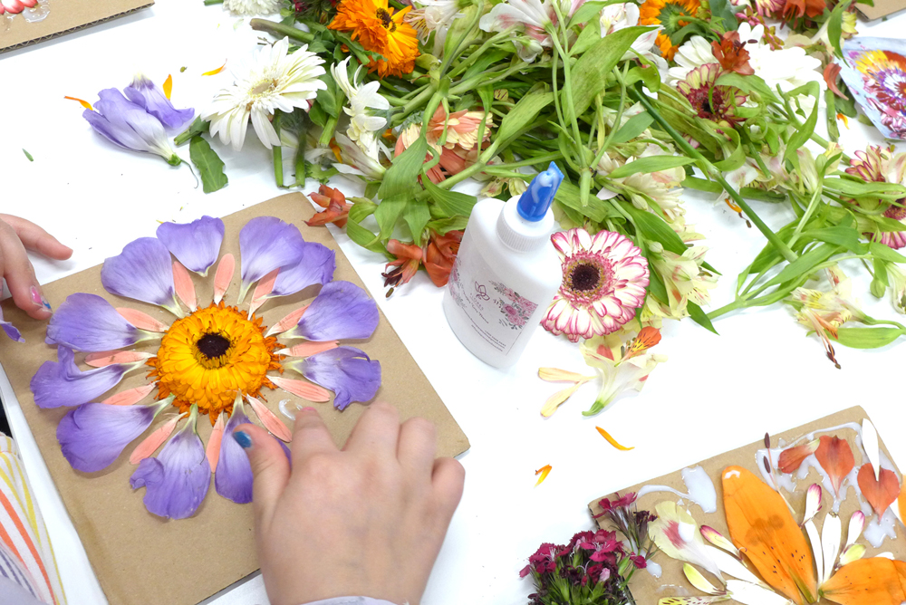 Primeros talleres de Mandalas de Flores con “Flores para Todos”