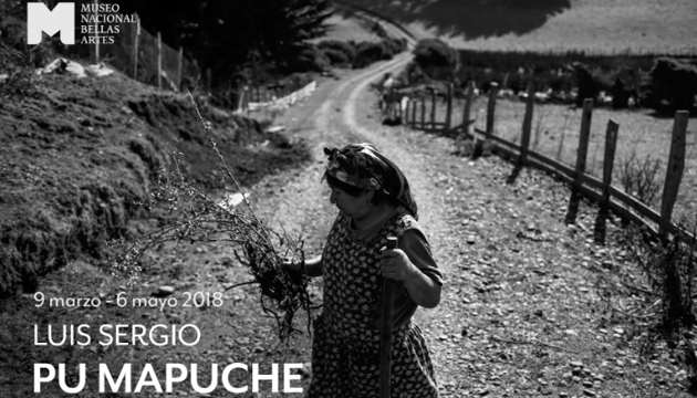 PU Mapuche