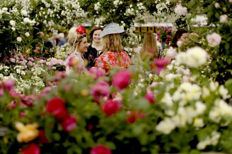 Lee más sobre el artículo «Chelsea Flower Show 2018» el gran festival de flores de Gran Bretaña