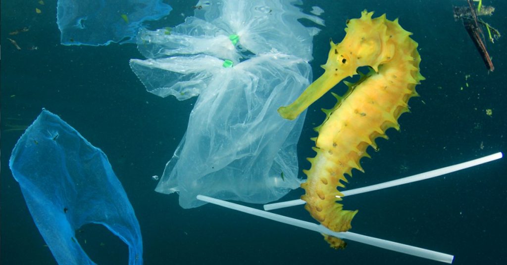 Se pone en marcha The Ocean Cleanup el proyecto más grande para limpiar el océano