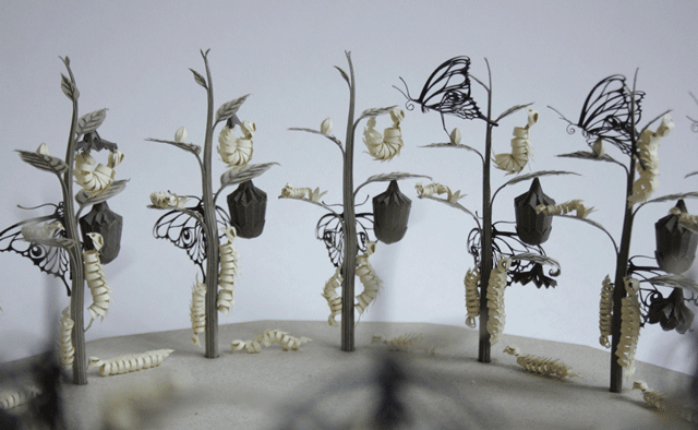 El ciclo de las Mariposas retratado a través de papel cortado