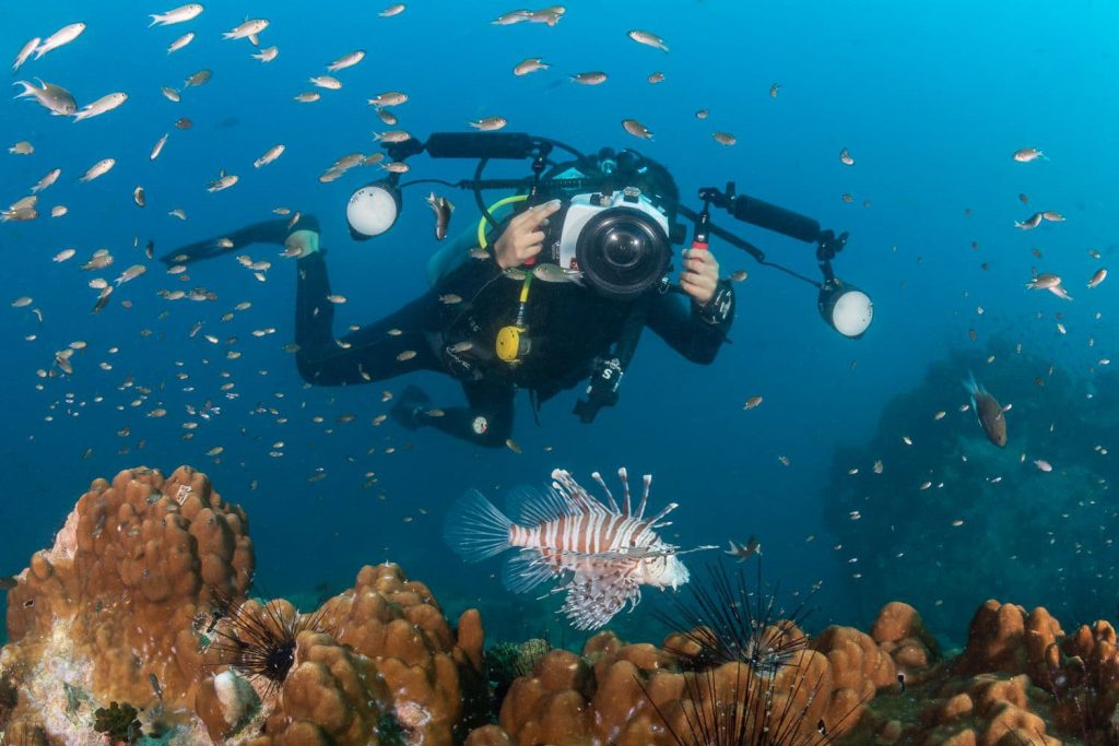 La bióloga y fotógrafa marina Catalina Velasco busca salvar el océano chileno