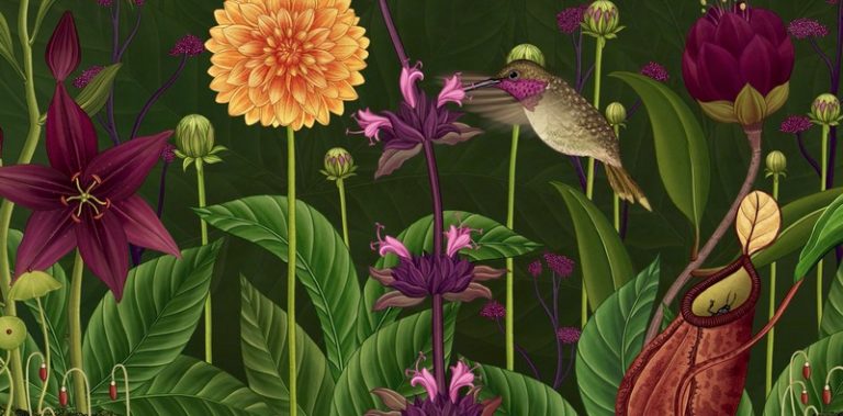 “Una Historia de Flores” animación botánica de Azuma Makoto que muestra el ciclo de vida de las flores
