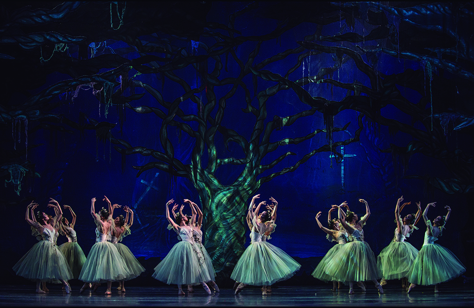 Lee más sobre el artículo Ballet Giselle en Municipal de Santiago