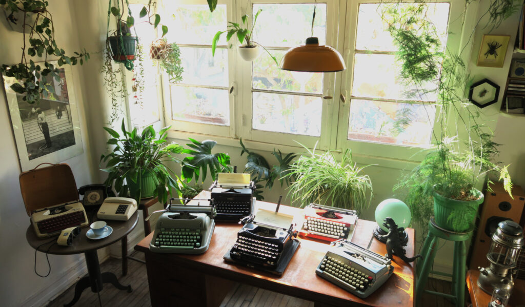 Lee más sobre el artículo San Diogenes