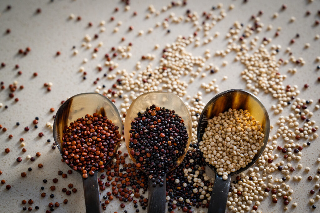 Lee más sobre el artículo Mercado Silvestre