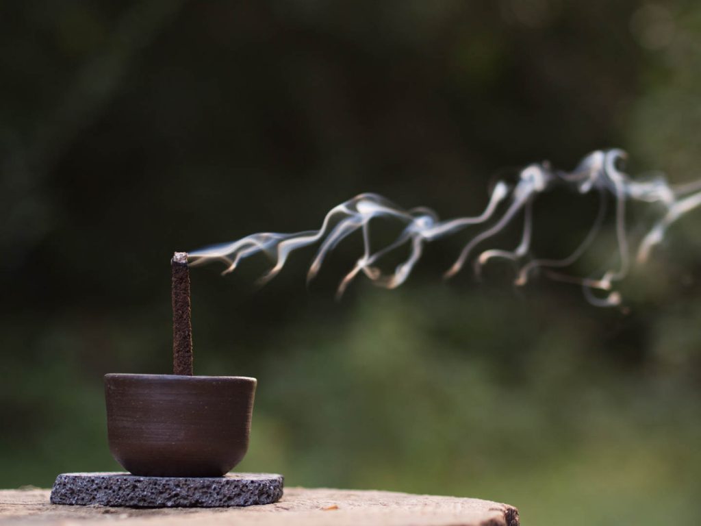 Lee más sobre el artículo Umo