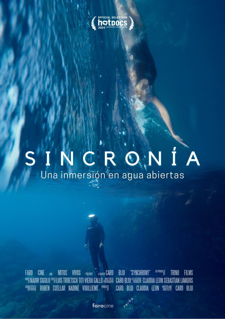 Lee más sobre el artículo Sincronía