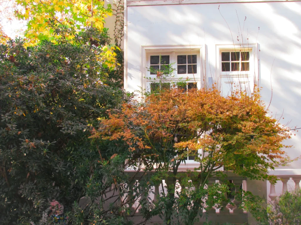 Lee más sobre el artículo “Interno verde Santiago”: El festival de jardines