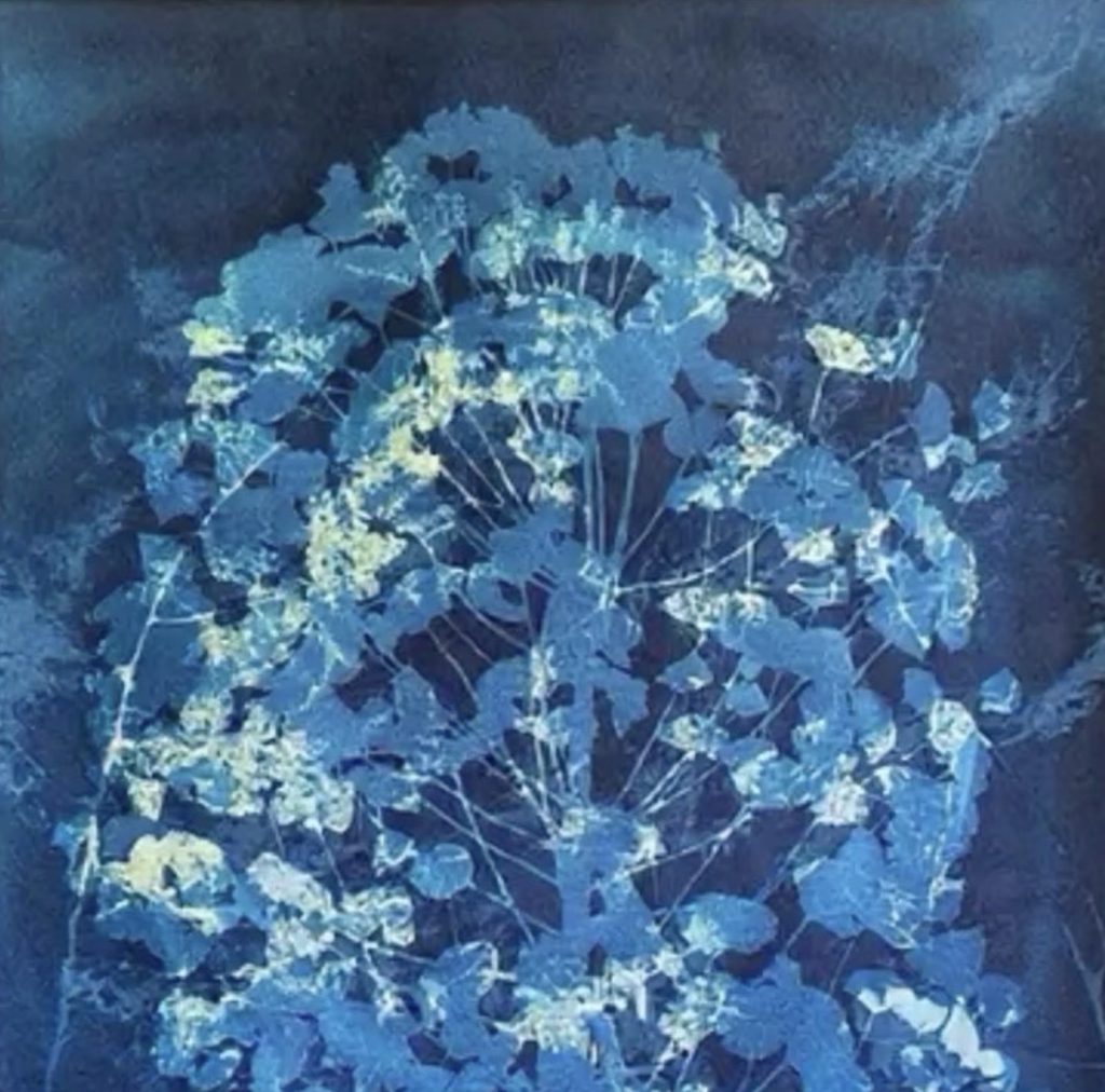 Lee más sobre el artículo 2da Edición Mercado Factoría