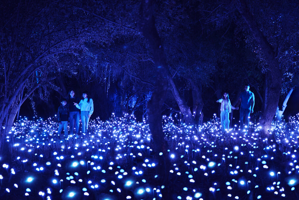 Lee más sobre el artículo Light Cycles vuelve a iluminar el Parque Metropolitano en su tercera edición